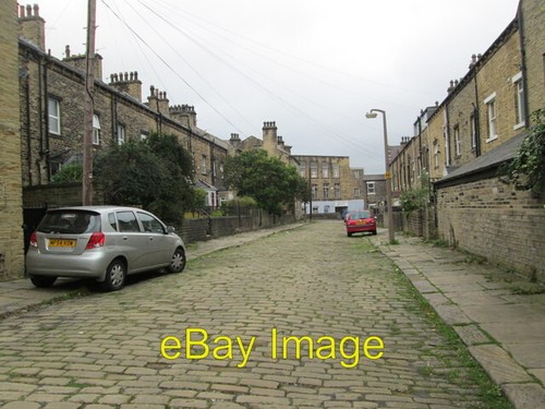 Photo 6x4 vine - 6x4,