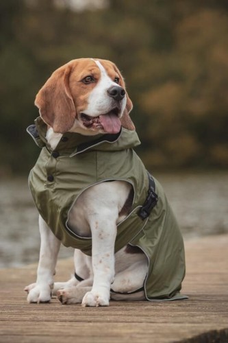 Rukka streamy eco dog coat - rukka,