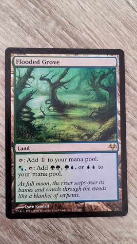 Flooded grove mtg - flooded,