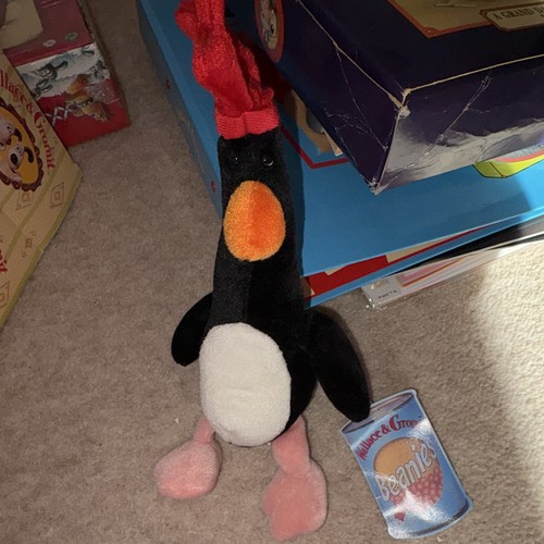 Wallace gromit feathers - &,
