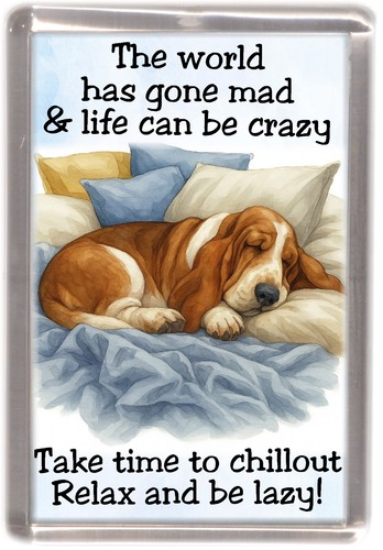 Basset hound dog fridge magnet - basset,