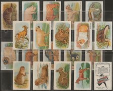 HUSTLER-FULL SET- ANIMALS 1925 (3RD SERIES 20 CARDS) EXCELLENT