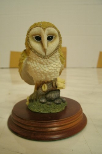 The leonardo collection nature - leonardo,