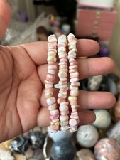 Pink Queen Conch Shell Chip