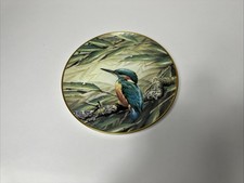 Kingfisher from RSPB Centenary