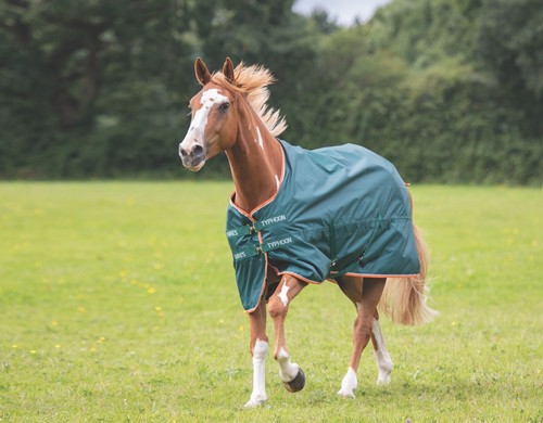 Shires typhoon lite turnout - typhoon,