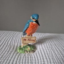 border fine arts kingfisher