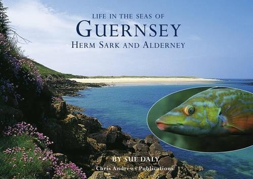 Sealife guernsey herm - sealife,