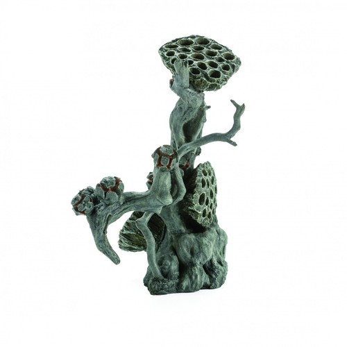 Biorb lotus seedpod root - biorb,