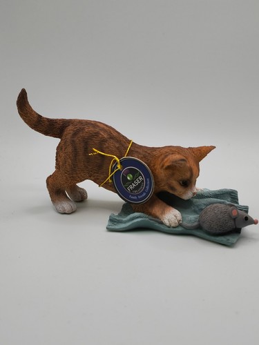 Ginger tabby kitten matt - kitten,
