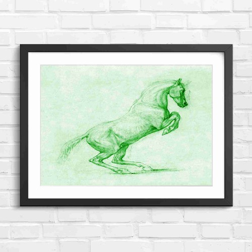 Rearing horse classical - horse,