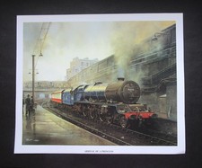 11.50" x 9.50"  MALCOLM ROOT