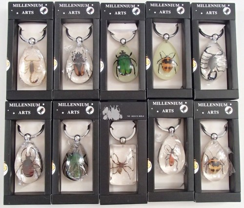 Genuine insect bugs keyring - insect,