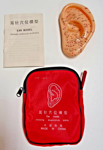 Acupuncture ear model for - acupuncture,