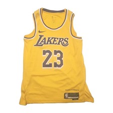NWT Nike LA Lakers LeBron