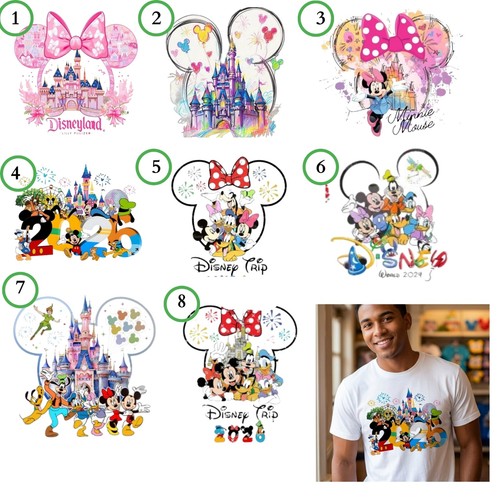 Disney land iron trip - land, 2026
