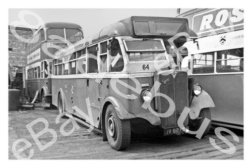 Bus photograph - bus,
