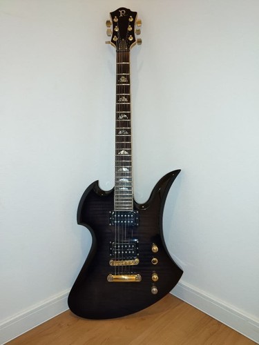 Rich mockingbird - b.c.rich,
