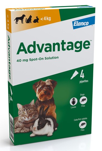 Spot flea treatment for - spot,