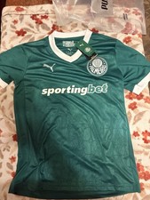 Puma Palmeiras 2025/26 Men’s