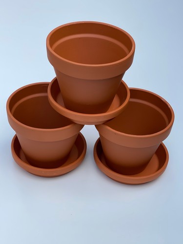 Traditional terracotta plants - terracotta,
