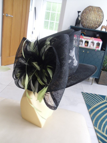 Beautiful windsmoor feather - beautiful,