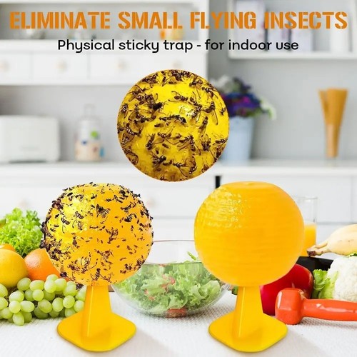 Fruit fly balls ball - fly, trap