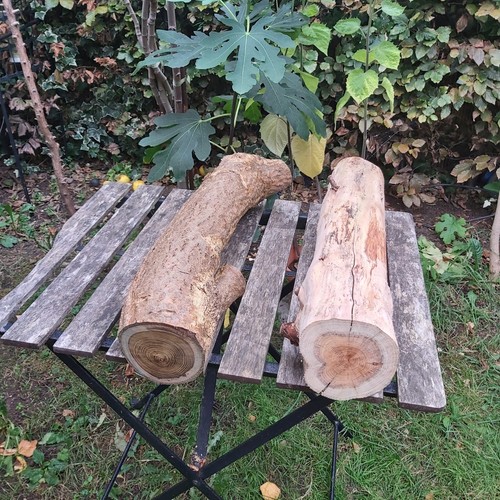 Hardwood log yew laburnum - log,