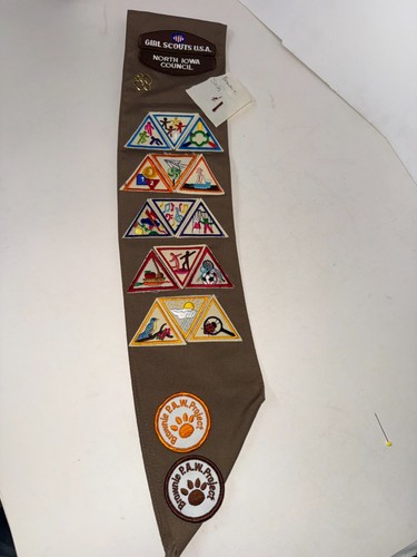 Girl scouts brownie - girl,