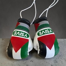 Mini Palestine Boxing Gloves