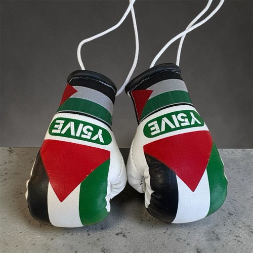 Mini palestine boxing - mini, gloves