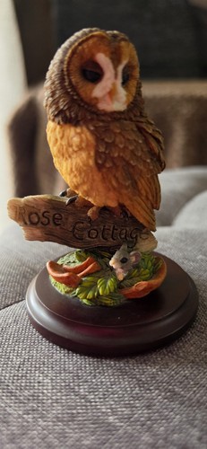 Country artists tawny owl - tawny,