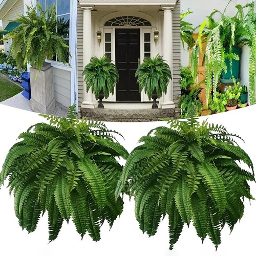 Lifelike artificial boston - lifelike,