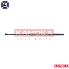 GAS SPRING BOOTCARGO AREA