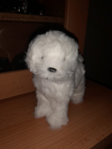 Simulation white fluffy - simulation,