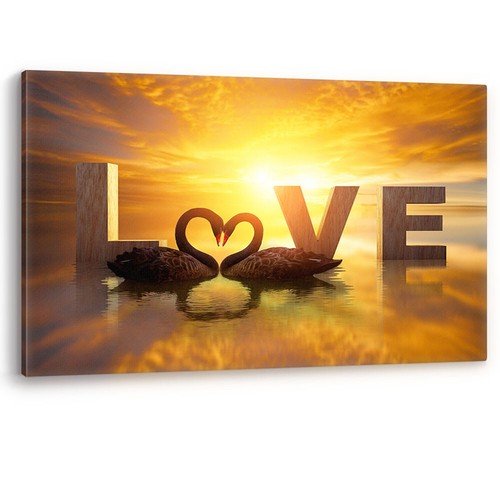 Black swans heart shape sunset - black,