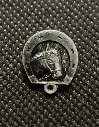 Horse head horseshoe brooch - head,
