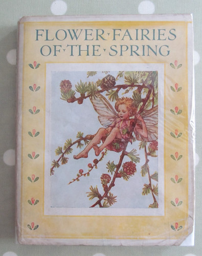 Flower fairies the spring - of,