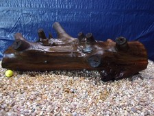 XX-Large Driftwood 15"x36"x16"