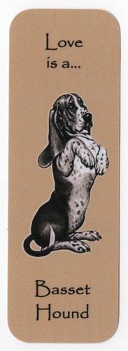 Basset hound dog beautiful - basset,