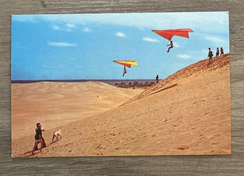 Jockey ridge nags - jockey,