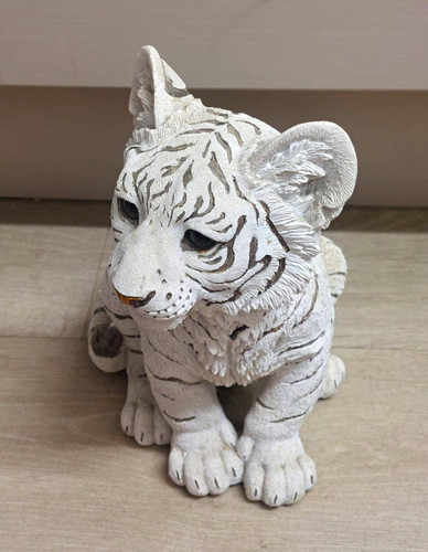 Cute white tiger cub - tiger,