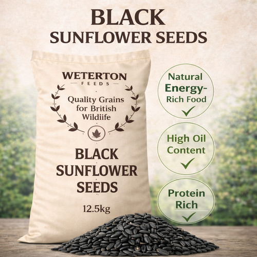 Black sunflower seeds 5kg - sunflower, 12.5kg