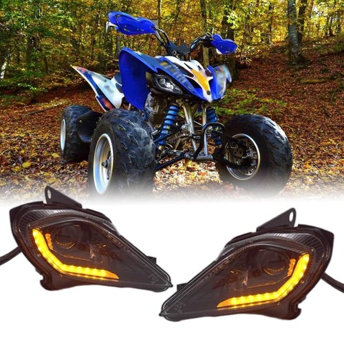 2pcs led headlights assembly - headlights,