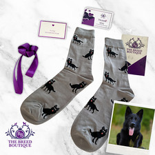 BLACK GERMAN SHEPHERD DOG