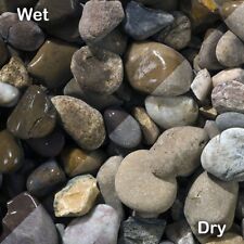 Tweed Garden Landscaping &