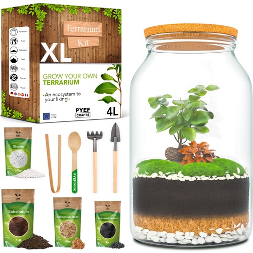 Diy terrarium kit for plants - kit,
