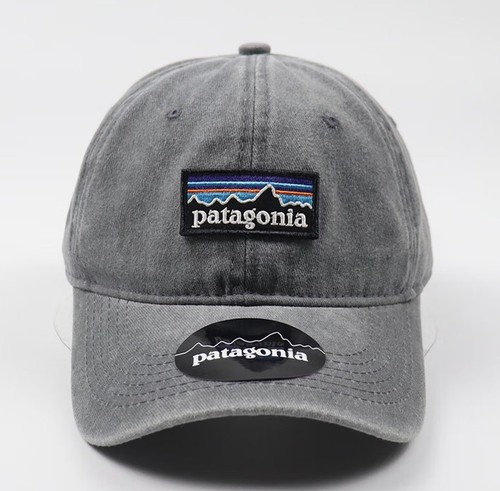 2026 patagonia cap gray - 2026,