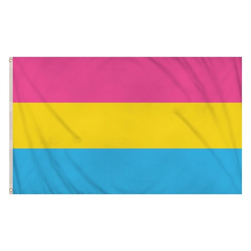 Pansexual pride flag 5ft - pride, x