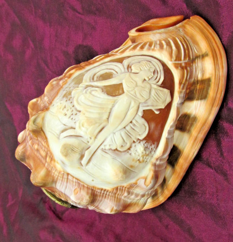 Vintage italian conch shell - vintage,